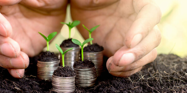 shutterstock_578703133 (1).jpg