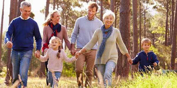 levensverzekering van der nat