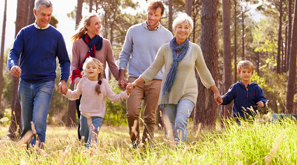 levensverzekering van der nat