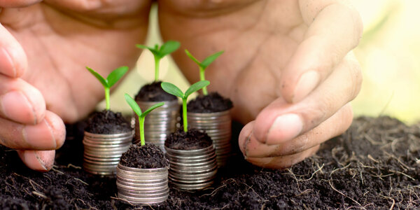 shutterstock_578703133 (1).jpg